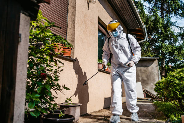 Best Pest Inspection Near Me  in Livingston, LA