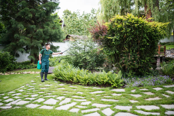 Best Pest Prevention Services  in Livingston, LA