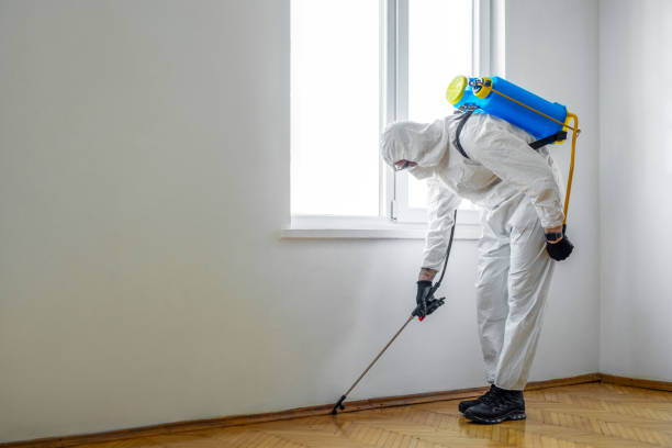 Best Local Pest Control Services  in Livingston, LA