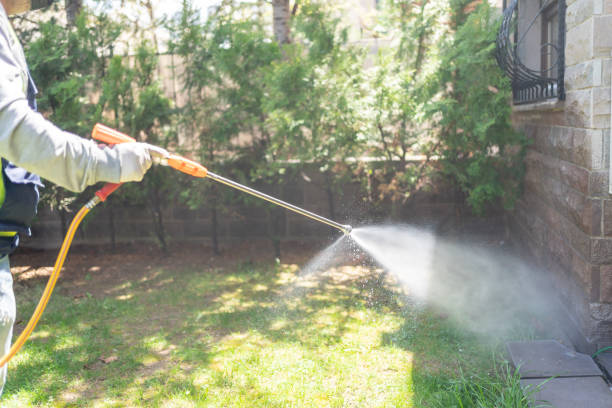 Best Pest Control for Homes  in Livingston, LA