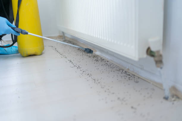 Trusted Livingston, LA Pest Control Experts
