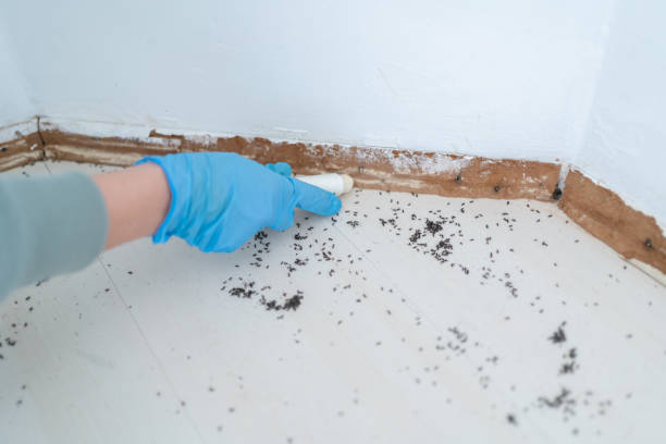 Best Best Pest Control Companies  in Livingston, LA