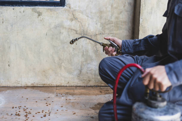 Best Termite Control Services  in Livingston, LA